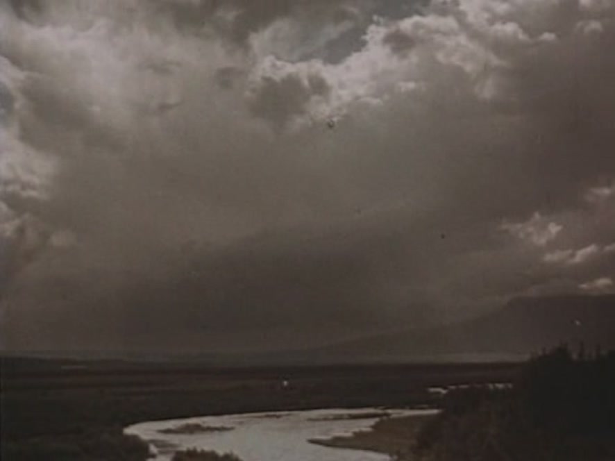 Кавалер Золотой звезды (1951)