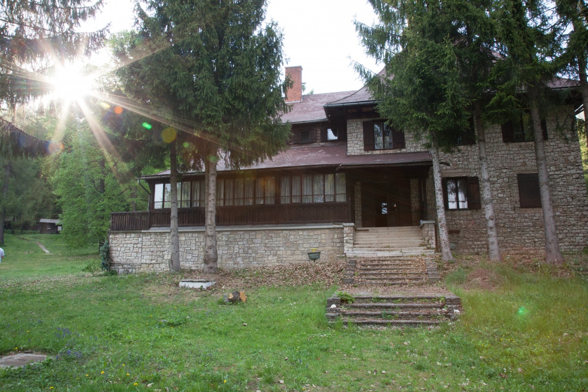 Открытая могила (2013)