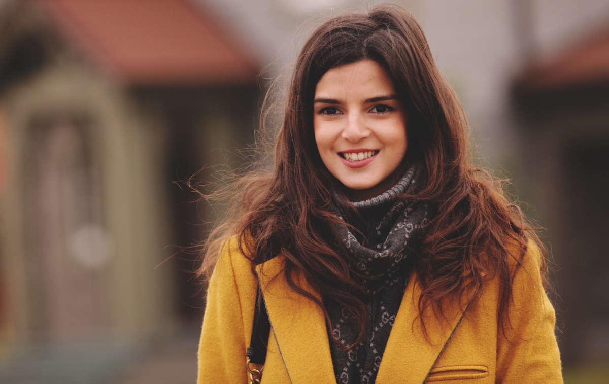 Переводчик (2015)