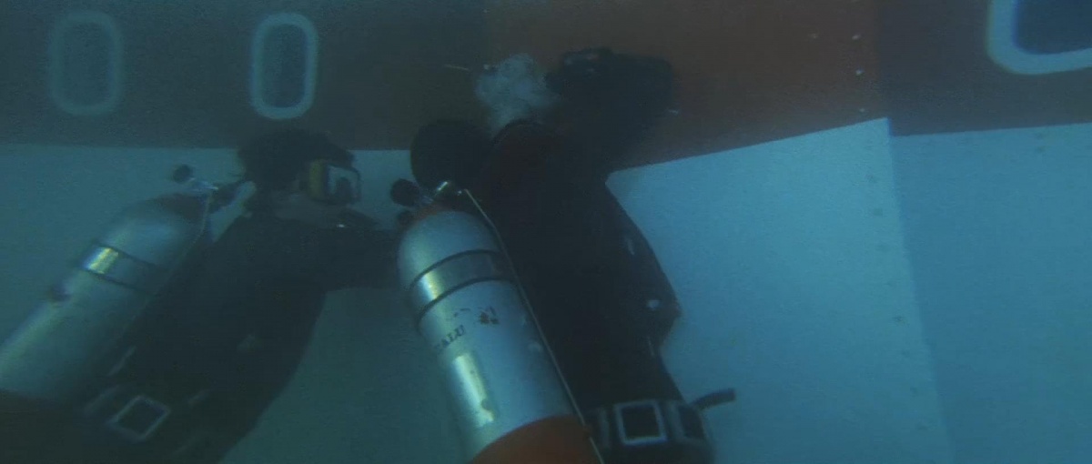 Спасите Конкорд (1979)