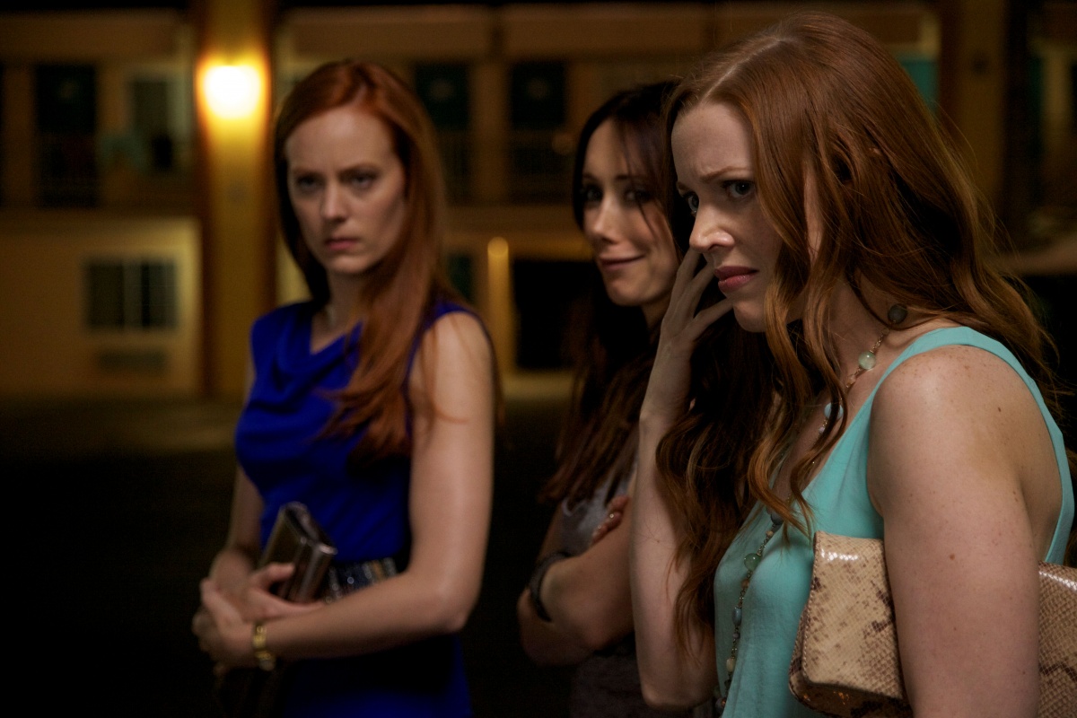 Холостячки в Вегасе (2013)