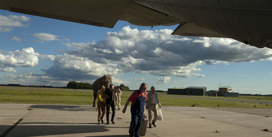 Столетний старик, который вылез в окно и исчез (2013)