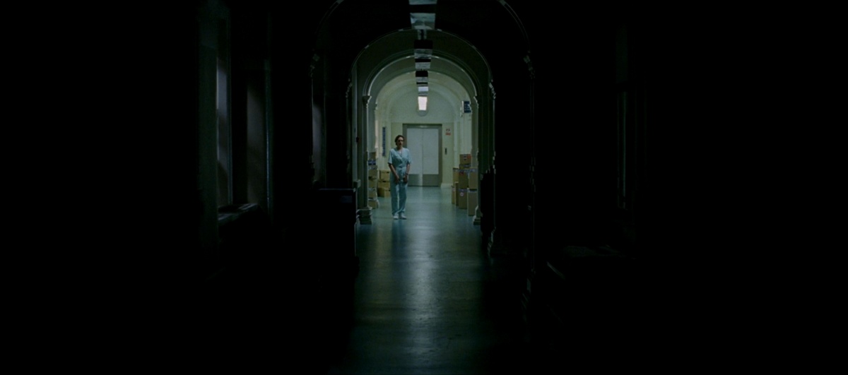 Хрупкость (2005)