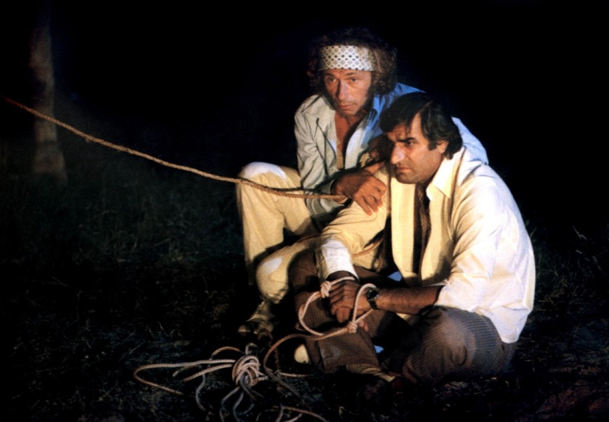 Это не я, это — он! (1980)