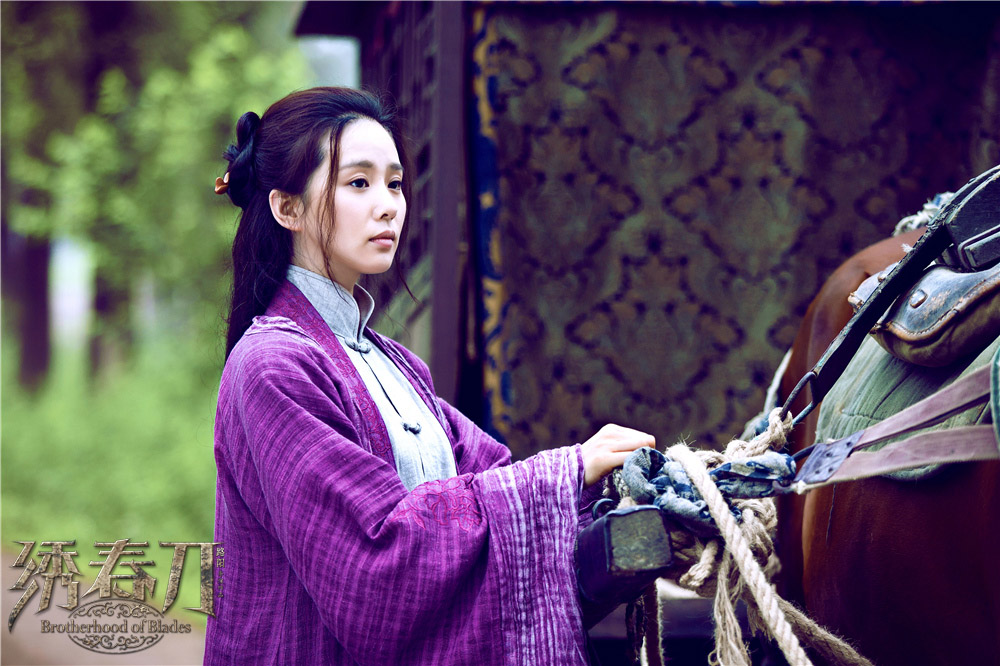 Братство клинков (2014)