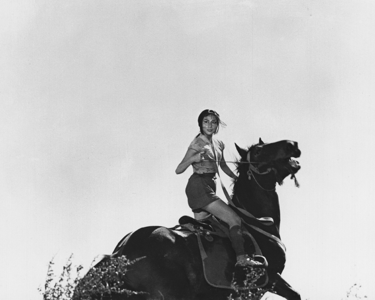 Трое негодяев в скрытой крепости (1958)