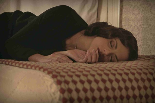 Гнездо землеройки (2014)