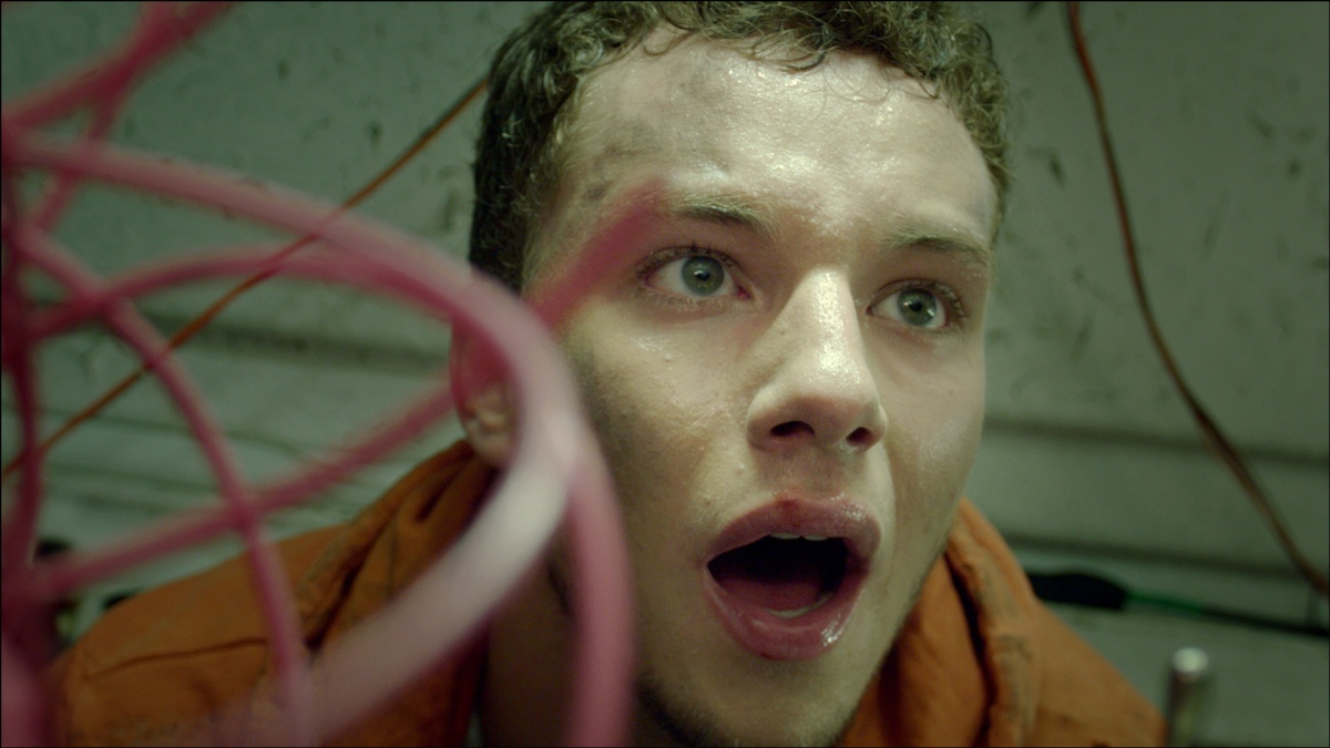 З/Л/О: Новый вирус (2014)