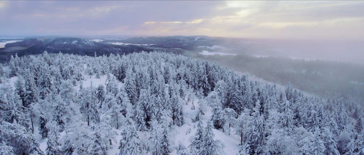 Находка (2016)