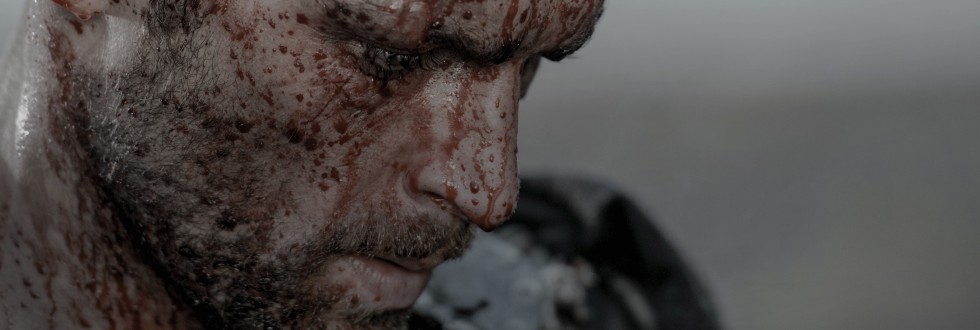 Меч мести (2015)