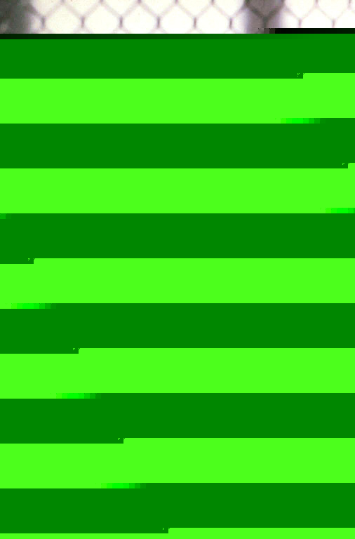 Кровавый спорт 4: Цвет тьмы (1999)