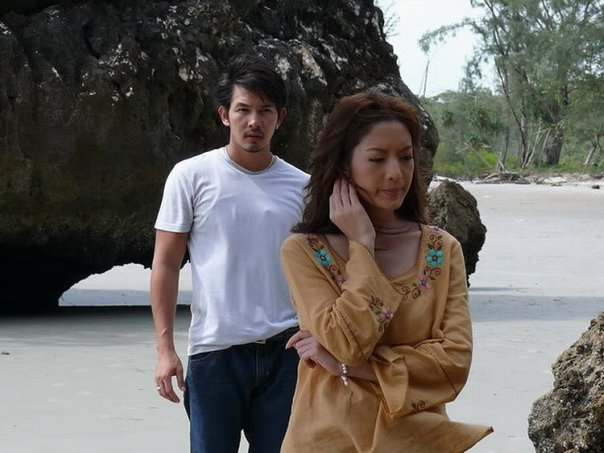 В плену любви (2008)