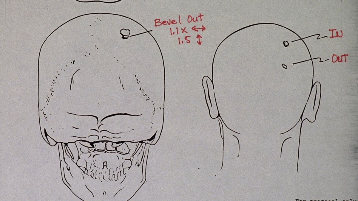 Тонкая голубая линия (1988)