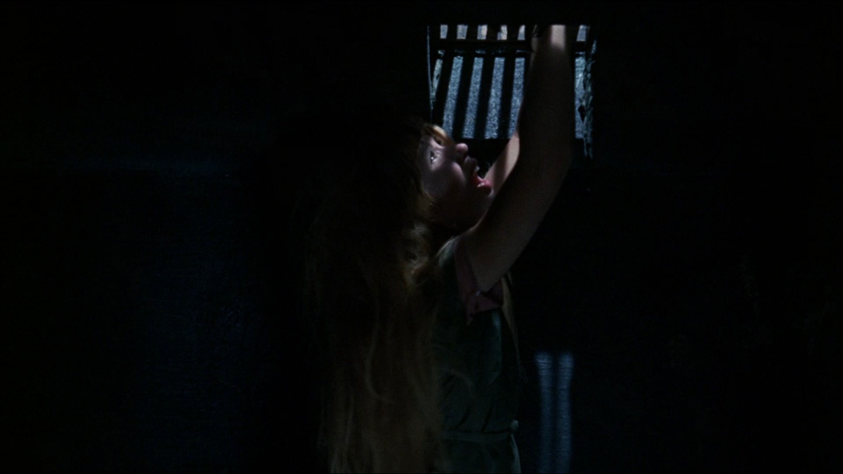 Женщины в клетках (1971)