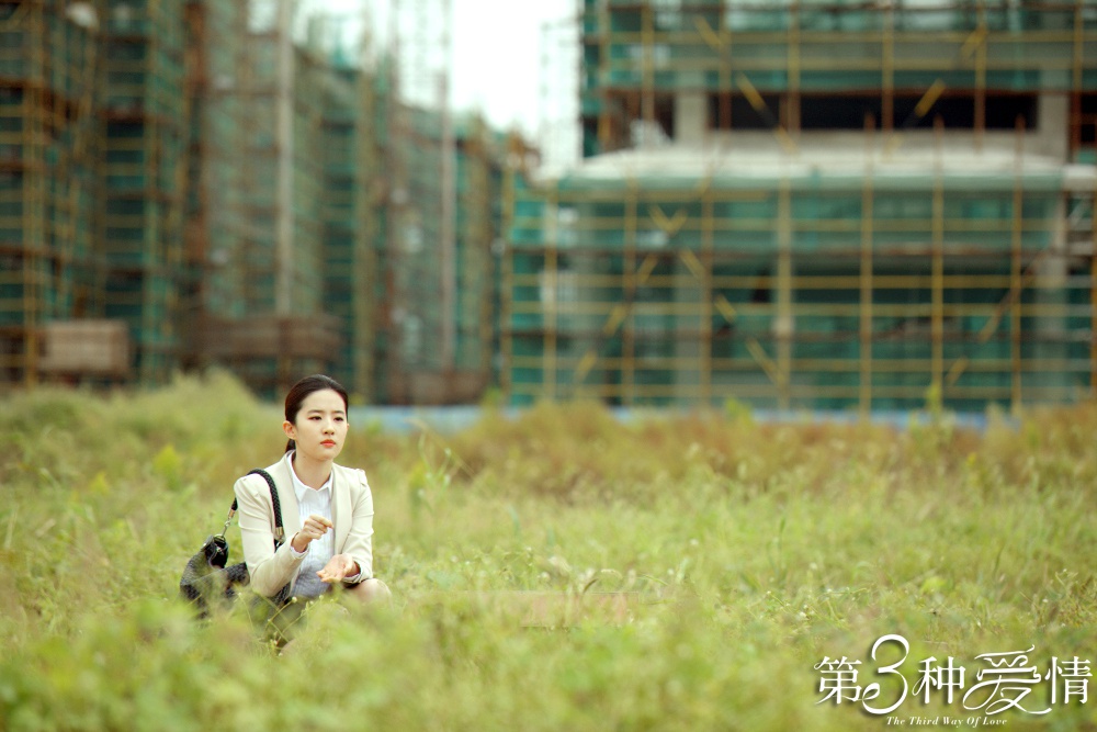 Третий вид любви (2015)