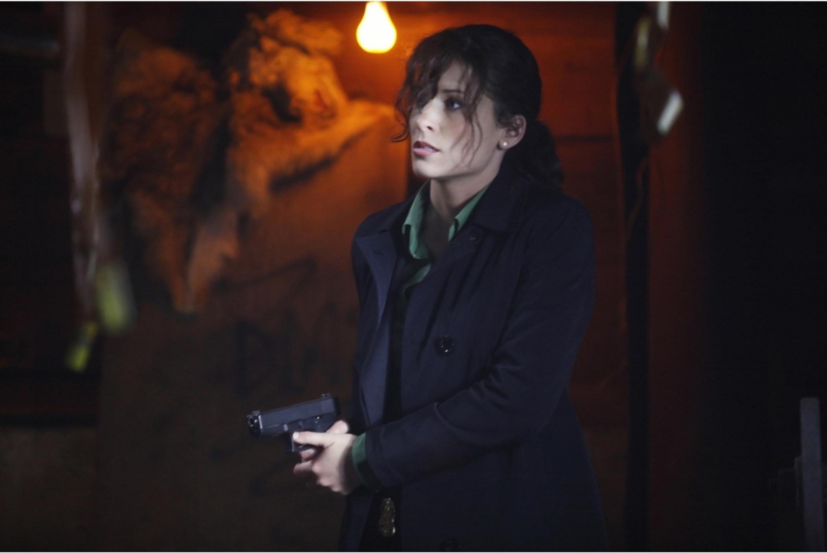 Смертельный удар (2008)