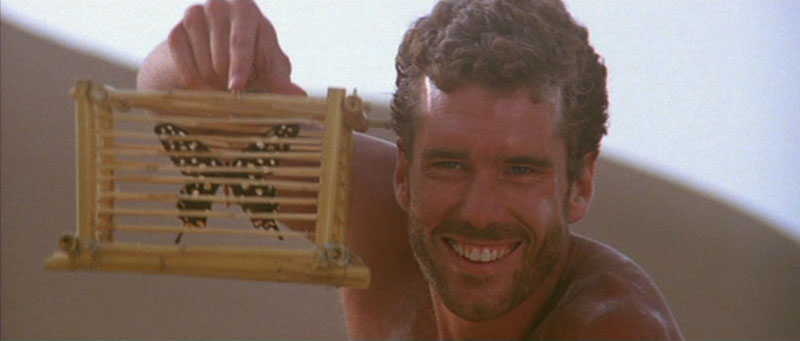 Гвендолин (1984)