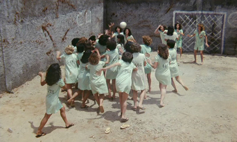 Голые за решеткой (2010)