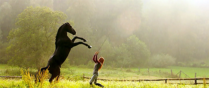 Оствинд 2 / Восточный ветер 2 (2015)