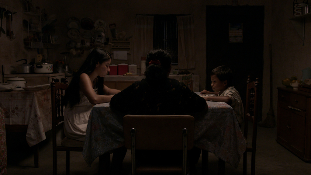 Земля и тень (2015)