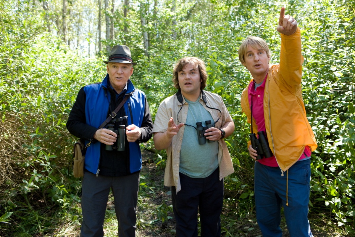 Большой год (2011)