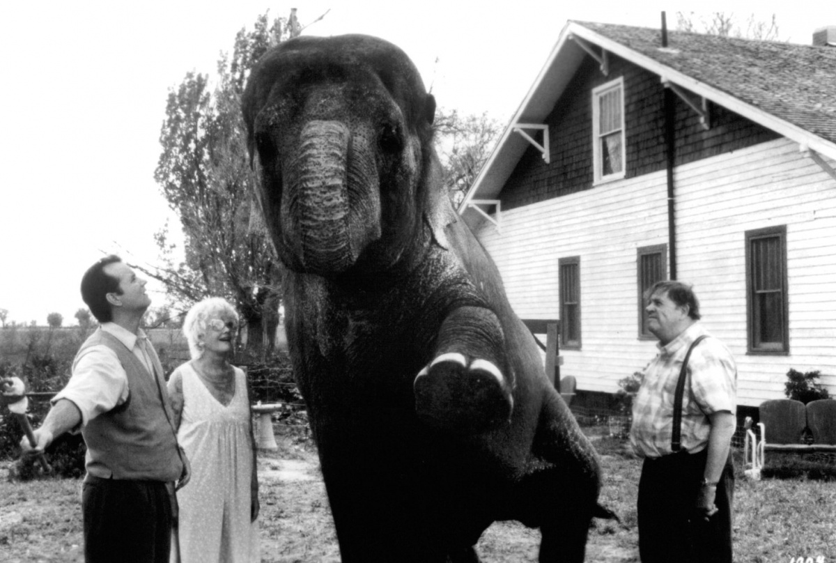 Больше, чем жизнь (1996)