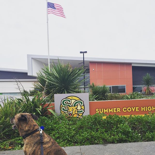 Могучие рейнджеры 24-25: Сталь ниндзя (2017)