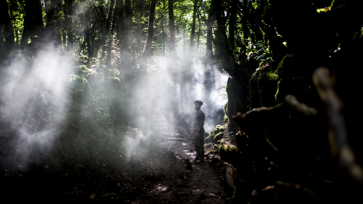 Не стучи дважды (2016)