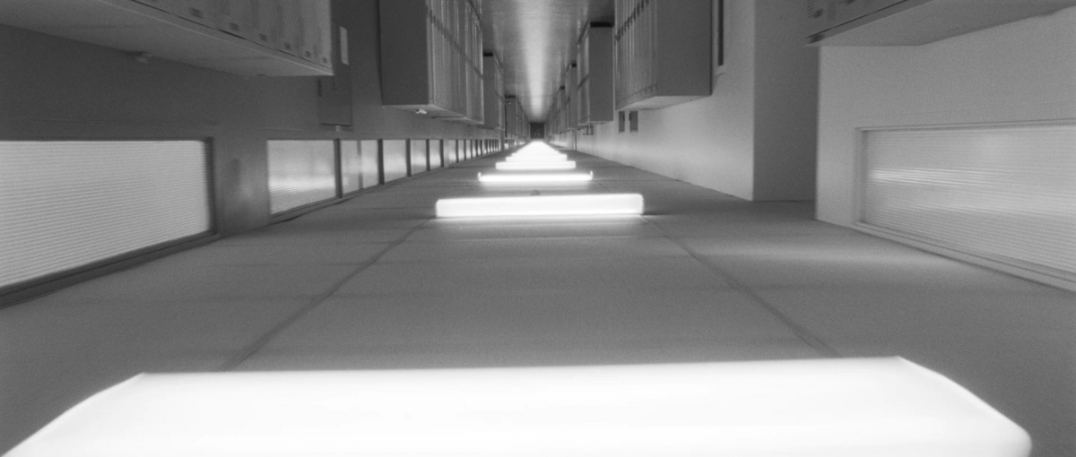 Политех (2009)