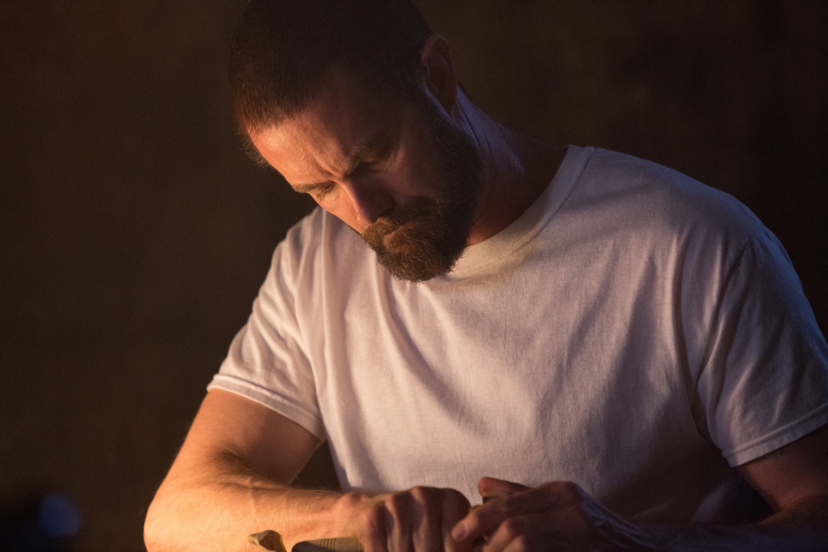 Десница Божья (2014)