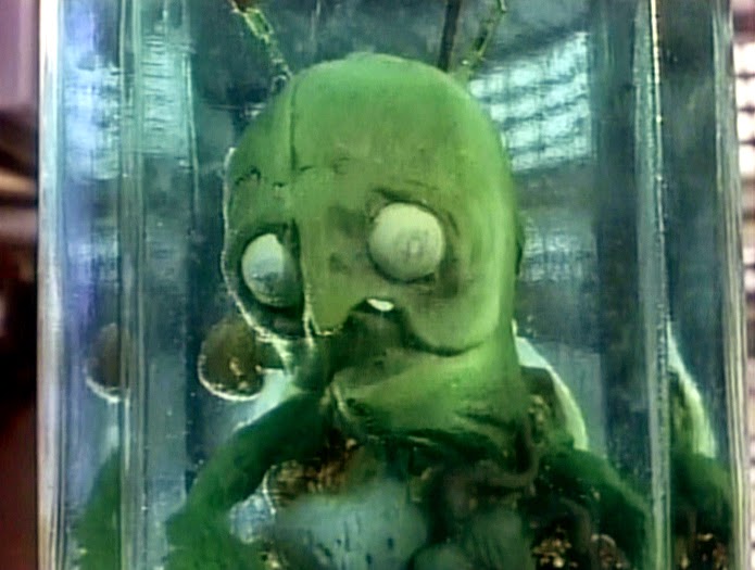 Тайные приключения Тома Тамба (1993)