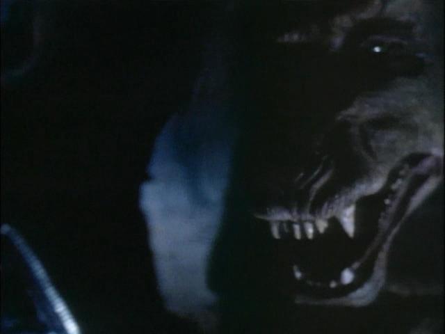 Во тьме (1994)