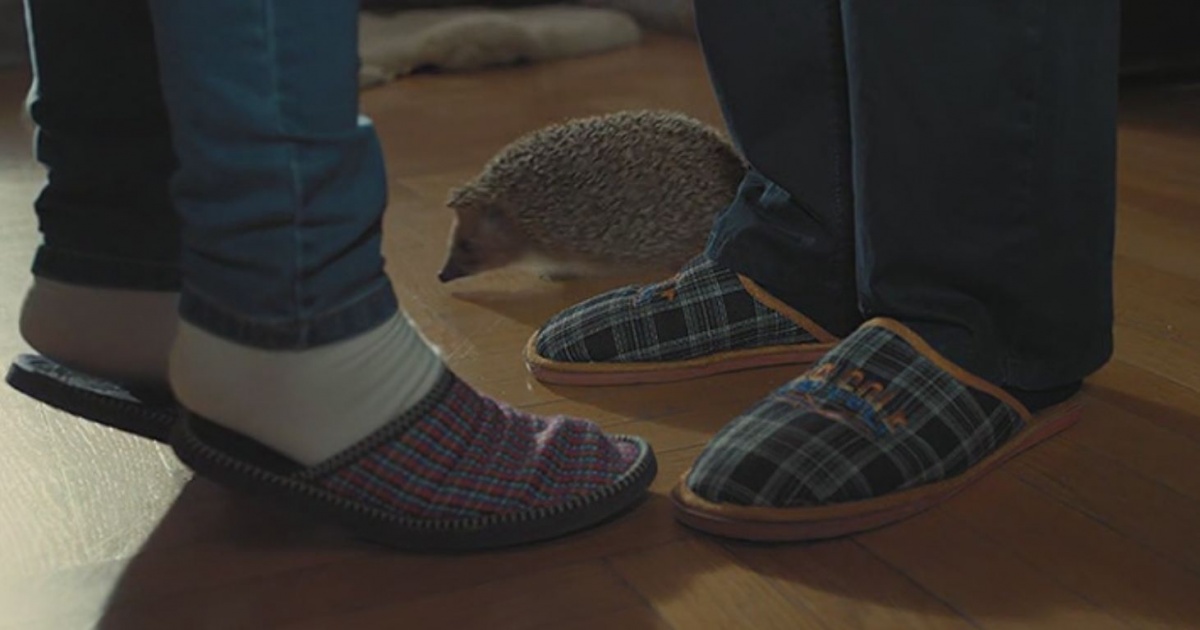 Отель последней надежды (2016)