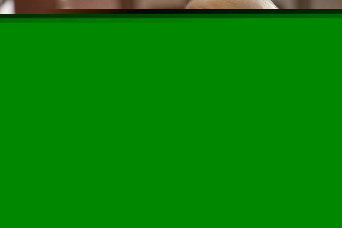 Голодные игры (2012)