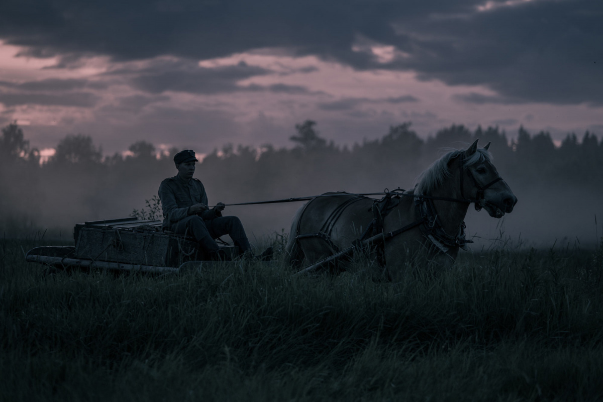 Неизвестный солдат (2017)