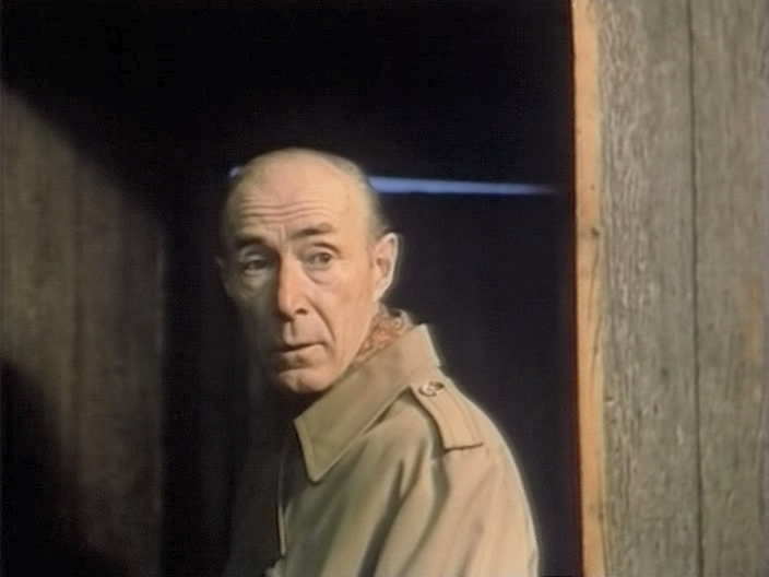 Обвиняется свадьба (1986)