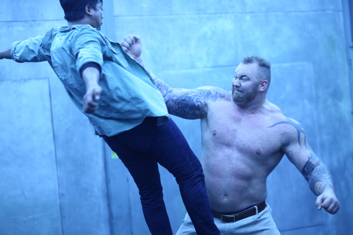 Кикбоксер возвращается (2018)