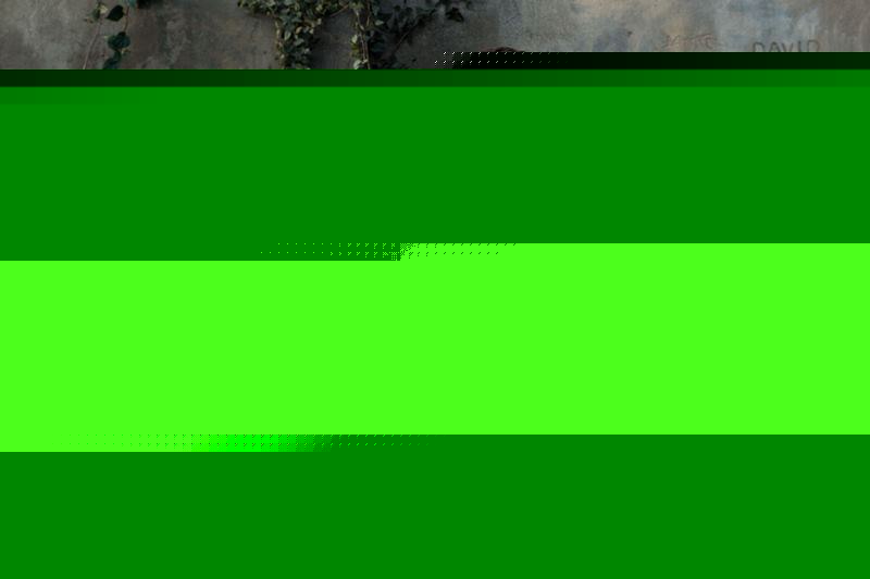 Бегущий в лабиринте (2014)