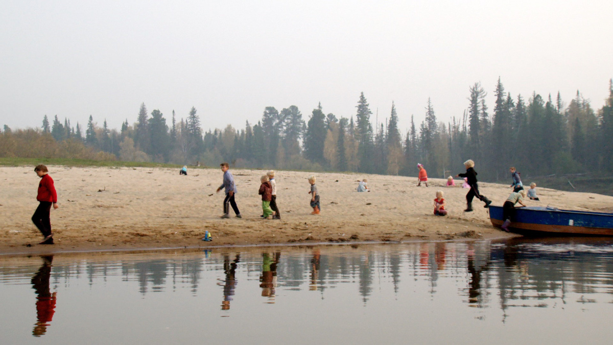 Брагино (2017)