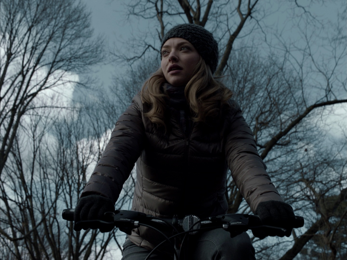 Дневник пастыря (2017)