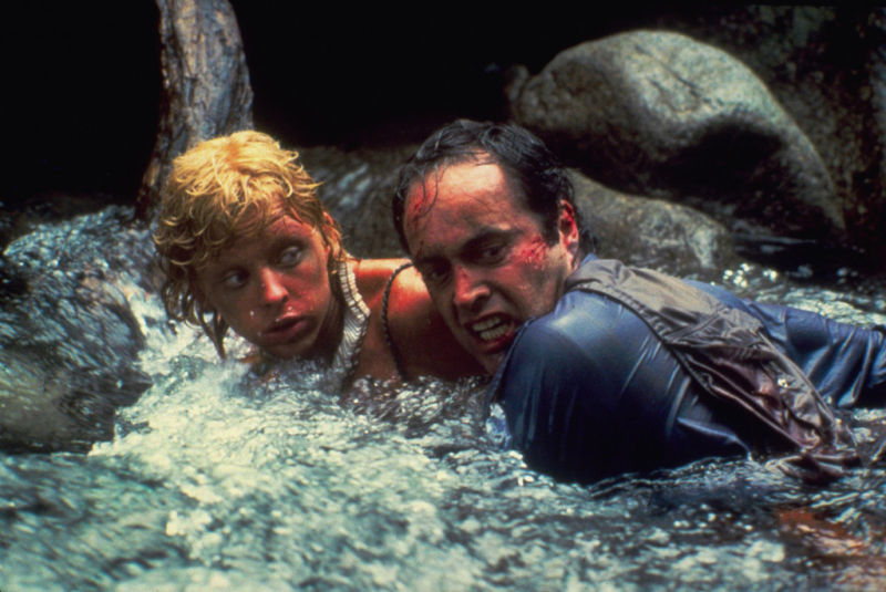 Изумрудный лес (1985)