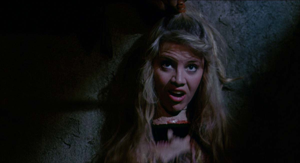 Адская ночь (1981)