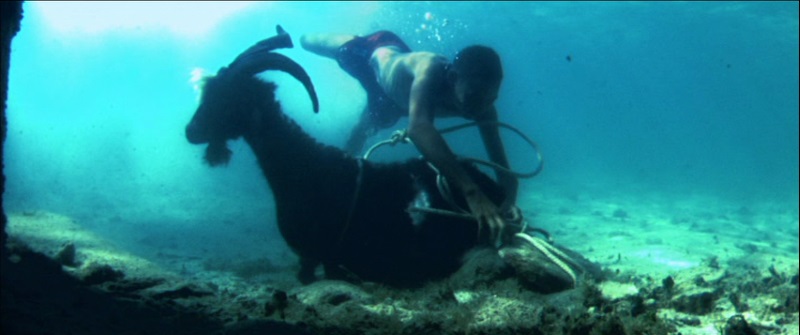 Невезучий козёл (2017)