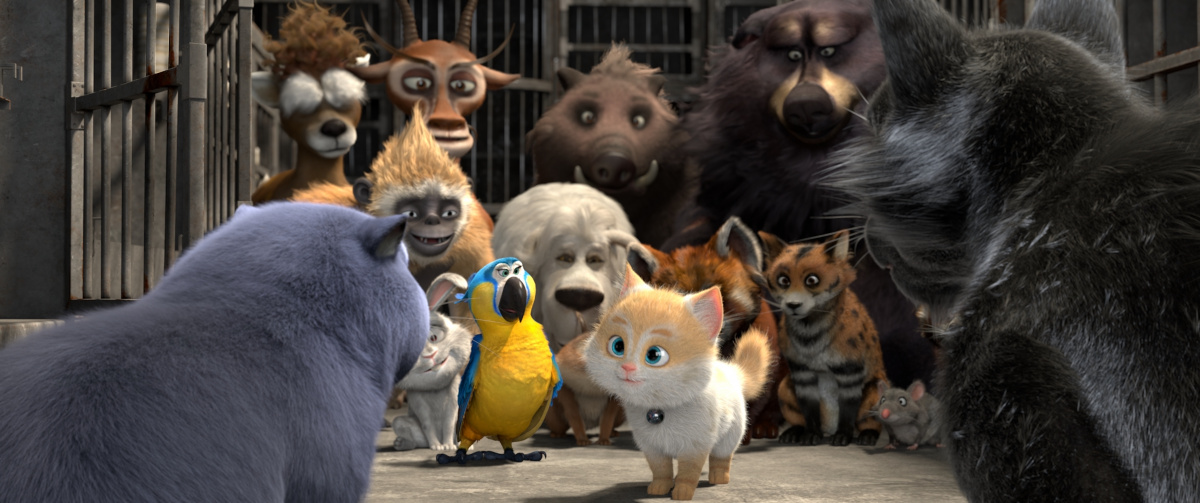 Большой кошачий побег (2018)