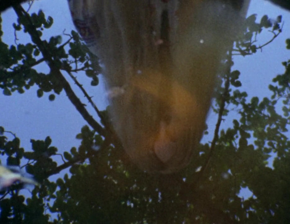 Бабочка (1973)