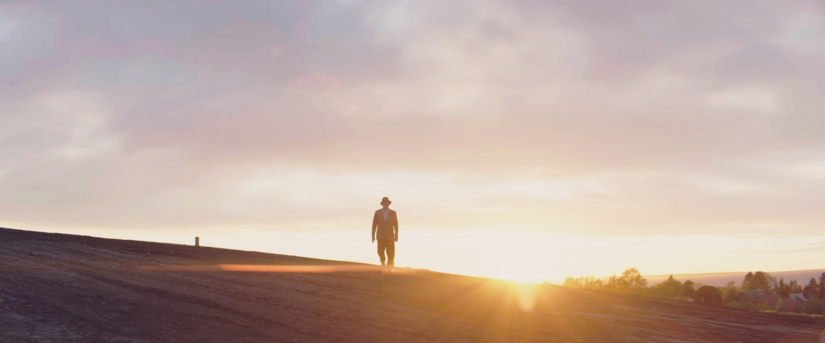 Зелёные коты (2017)