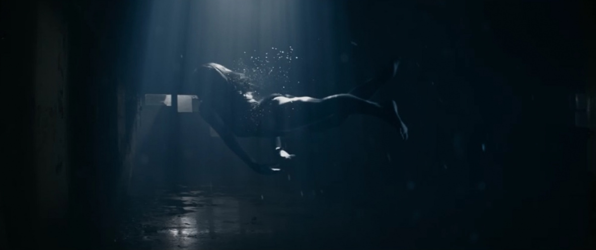 Ремнант: Всё ещё вижу тебя (2018)