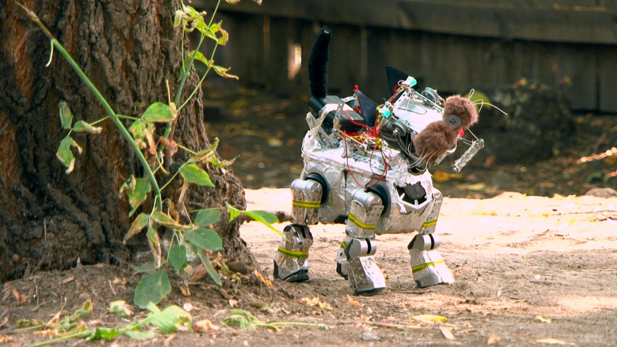 Бегство рогатых викингов (2019)