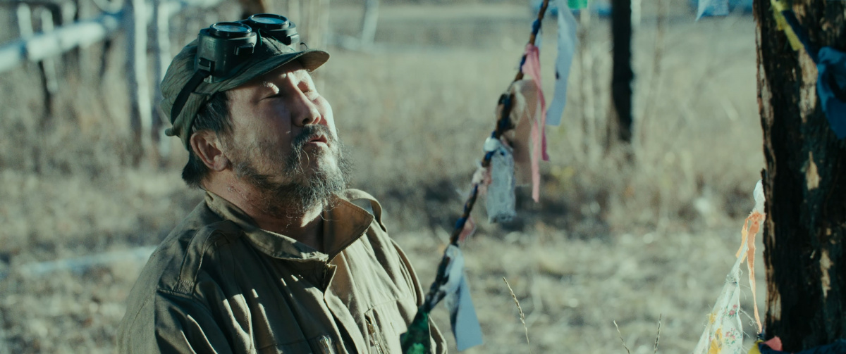 Республика Z (2019)