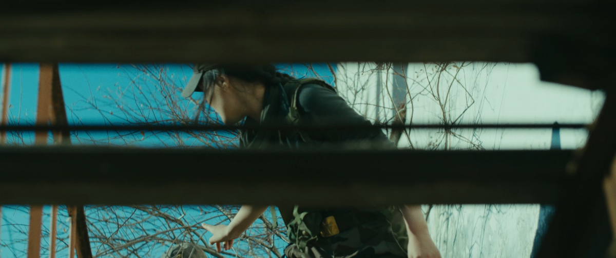 Республика Z (2019)